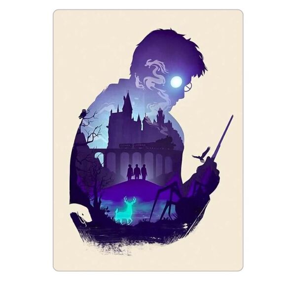 Harry Potter Hogwarts Magnet - Picture 1 of 6